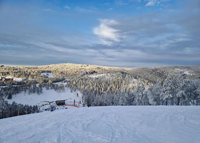 Divcinova - Apartman Gorski